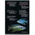 Cichlids The Pictorial Guide Vol2