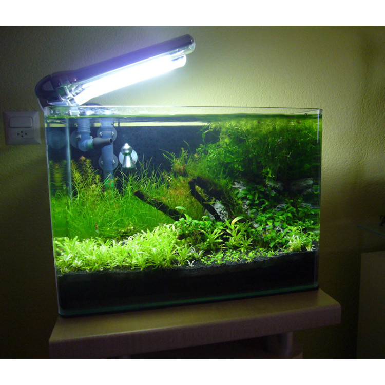 lichten Korting Weg Aquatic Nature Cocoon 5 LED (21.5L)