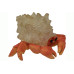 Hydor H2Show Deco Hermit Crab (heremietkreeft) LED