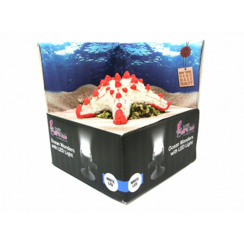 Hydor H2Show Deco Starfish zeester LED