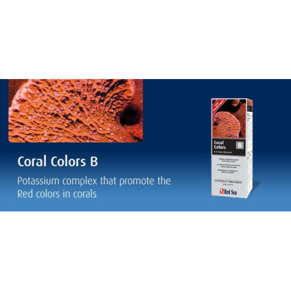 Red Sea Coral Colors B 5000ml