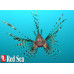 Red Sea Max S-Serie 650 Wit aquarium + meubel