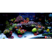 Red Sea Max S-Serie 400 Zwart aquarium + meubel