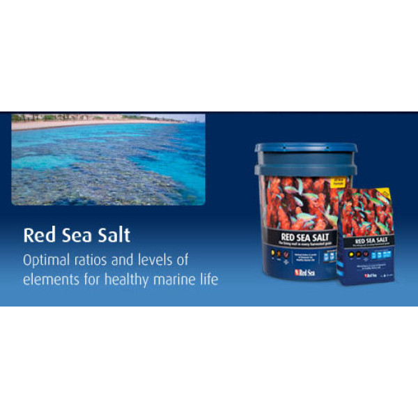 Red Sea Salt 4 kg